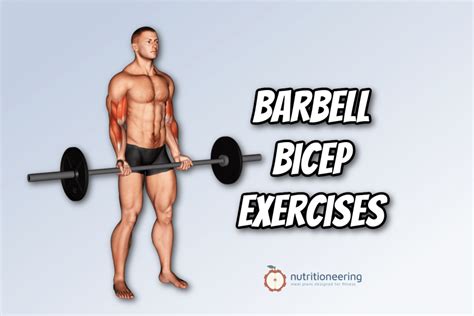 best bicep exercises for strength and size