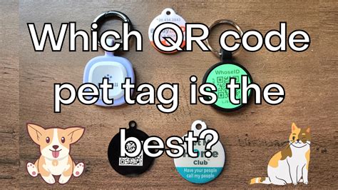 best dog tag qr code