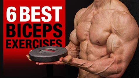 best exercises for bicep growth reddit