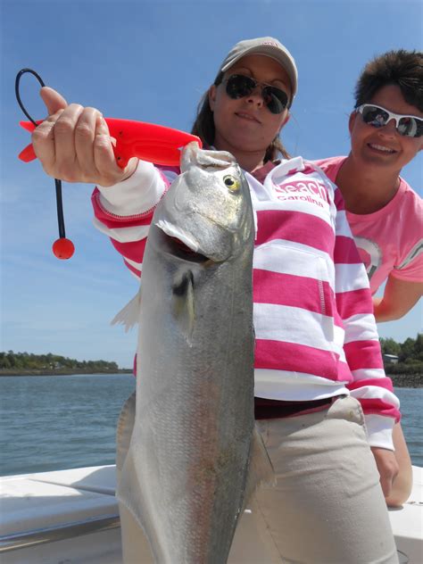 Best Fish Species to Catch on Topsail Island