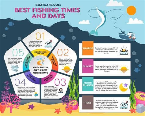 Best Time to Fish