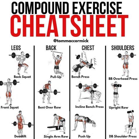 best upper body compound exercises reddit