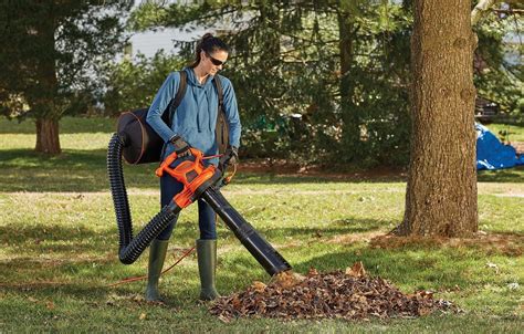 best way to get rid of leaves in your yard