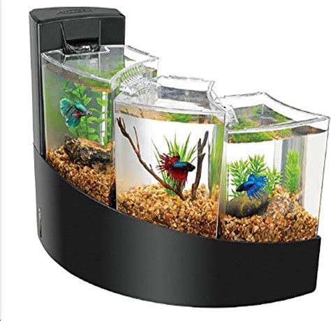 Betta fish tank accessories