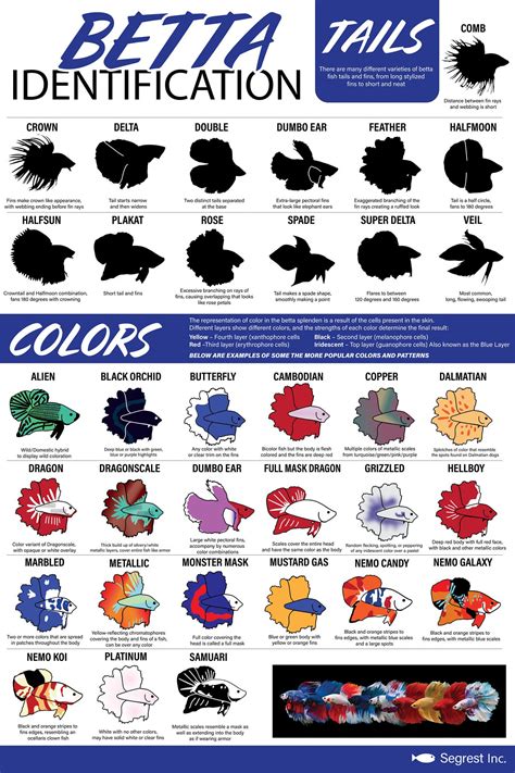 Betta Identification Chart