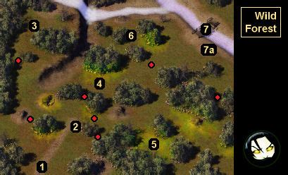 Bg2 Wild Forest Walkthrough With Map