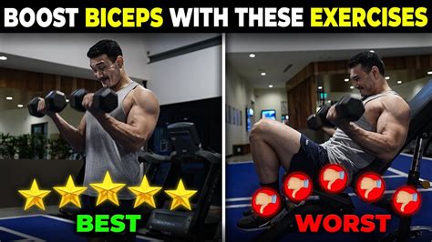 bicep exercises ranked