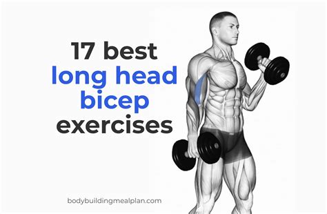 bicep exercises with dumbbells reddit