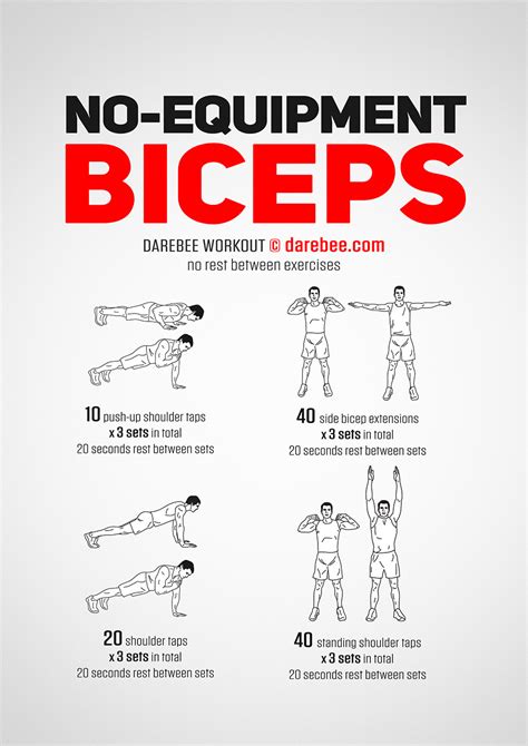bicep exercises without weights