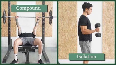 bicep isolation exercises