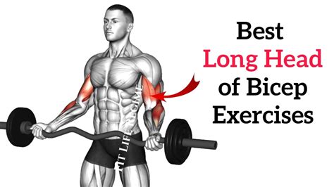 bicep peak building exercises