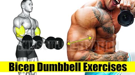 bicep peak exercises with dumbbells