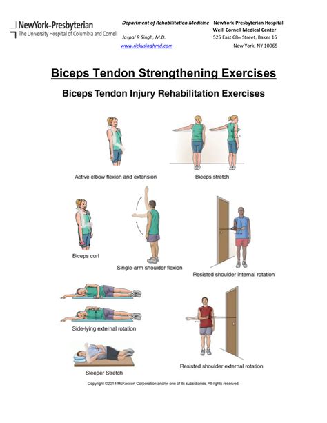 bicep tendonitis exercises pdf