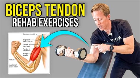 bicep tendonitis exercises reddit