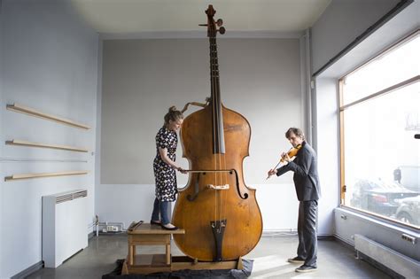 biggest string instrument