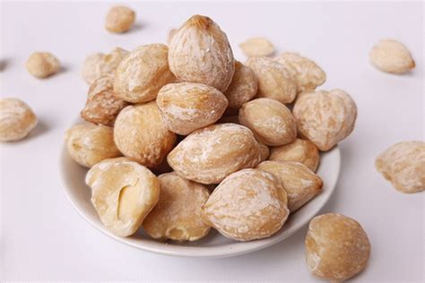 biji kemiri