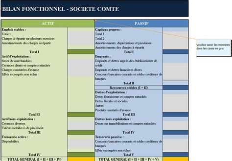 bilan fonctionnel format excel