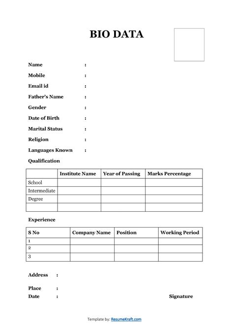 biodata example for job in word