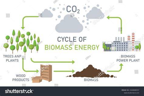 biomass energy