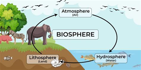 biosphere definition