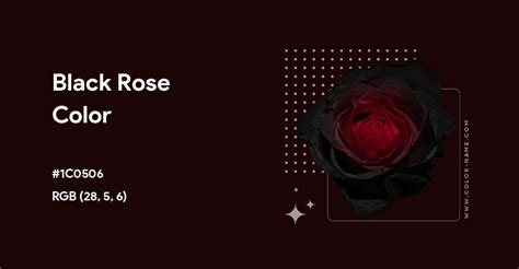 black rose colour code