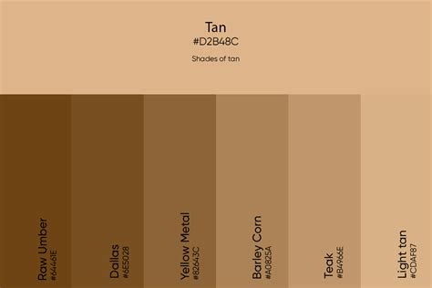 black tan color code