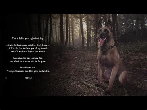 Blair Witch Game Walkthrough Chapter 1