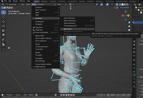 Blender Walkthrough Mode