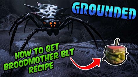 Blt Walkthrough Forms