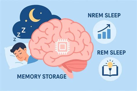 Otak dan memori saat tidur