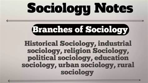 branches of sociology