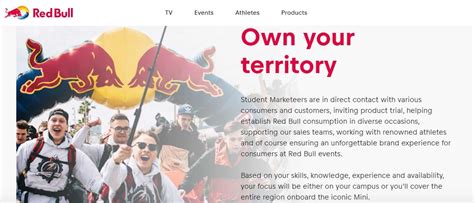 brand ambassador program examples