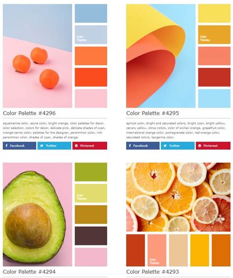 brand color palette examples
