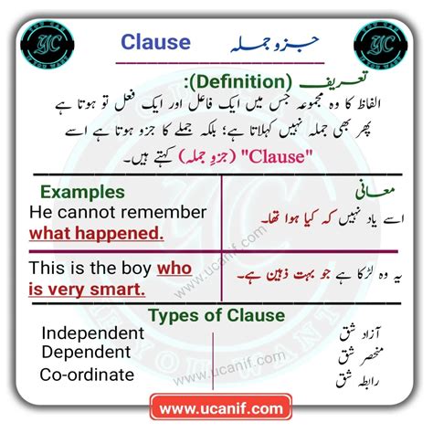 brief meaning in urdu and examples