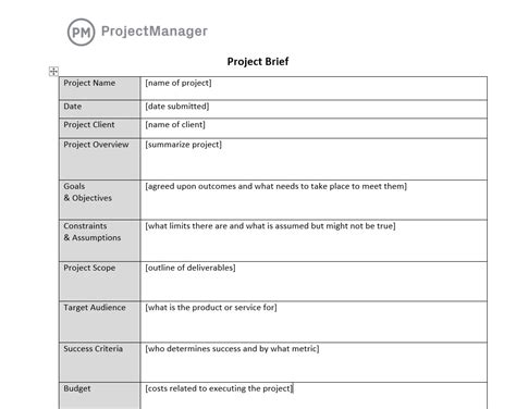 brief project outline