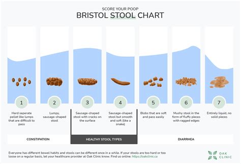 Bristol Stool Chart 5