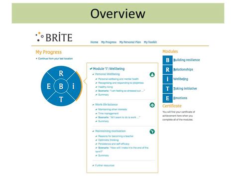 brite modules
