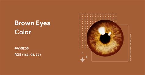 brown eye color hex code