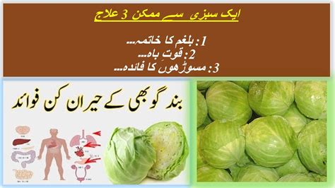 brussel sprouts meaning in urdu