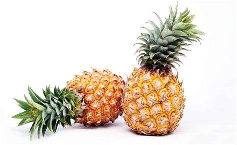 buah nanas