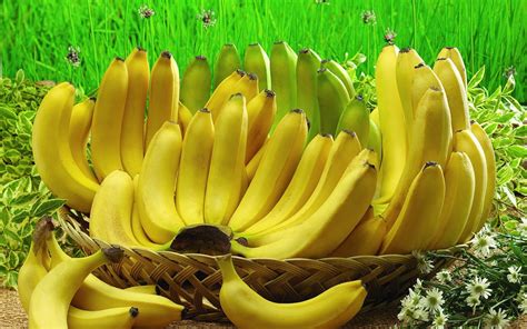 buah pisang dalam keranjang