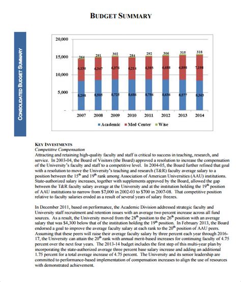 budget summary report example