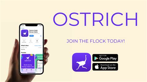build phone app no code