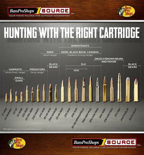 Bullet Caliber Chart Smallest To Largest