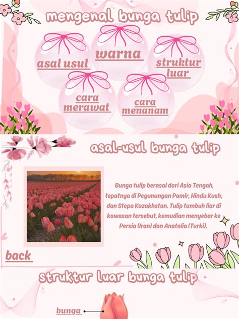 Bunga Tulip Lengkap