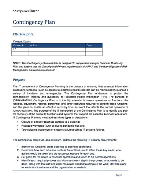 business contingency plan example pdf