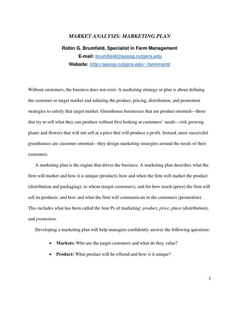 business plan analysis example