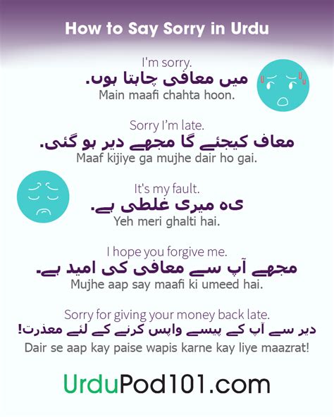 but when i say sorry meaning in urdu
