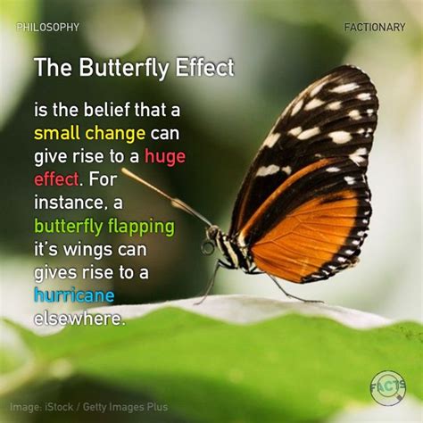 butterfly effect meaning in english