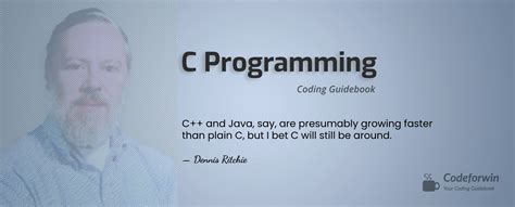 c programming examples exercises and solutions for beginners